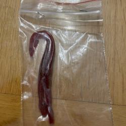 Leurres worm &eacute;crevisse