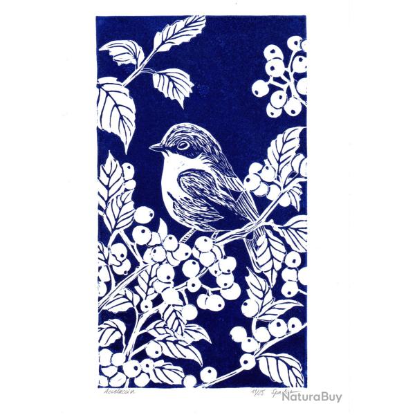"Accelucciu turquinu", oiseau bleu, linogravure artisanale sign�e Spada