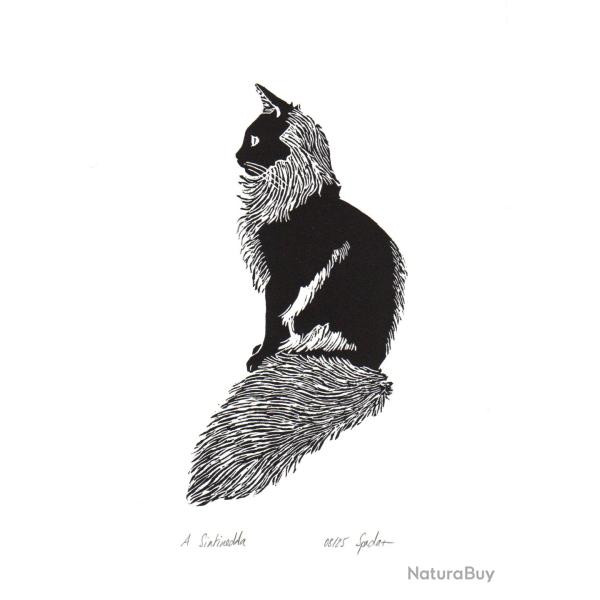 A Sintinedda, linogravure originale sign�e Spada