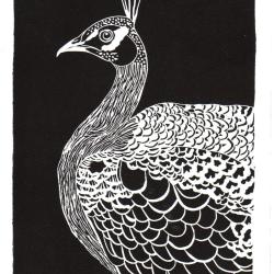 "U Re Pavun Rossu", linogravure originale sign&eacute;e Spada