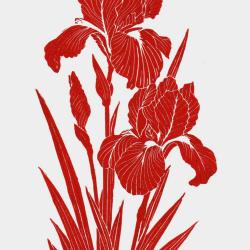 "Iris rouge" linogravure artisanale sign&eacute;e Spada