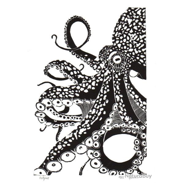 Octopus, linogravure artisanale sign�e Spada
