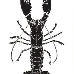 Homarus, linogravure originale sign&eacute;e Spada