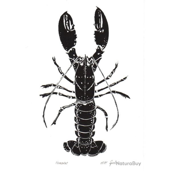 Homarus, linogravure originale sign�e Spada
