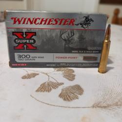 300 winchester magnum 180 grains