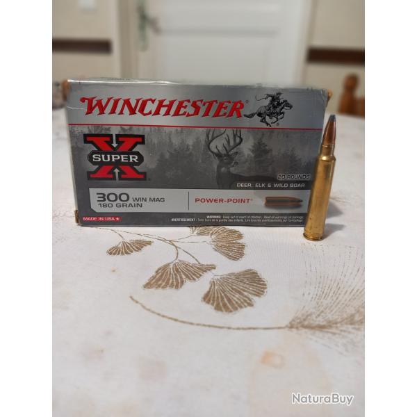 300 winchester magnum 180 grains