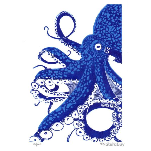 Octopus bicolore, linogravure originale sign�e Spada