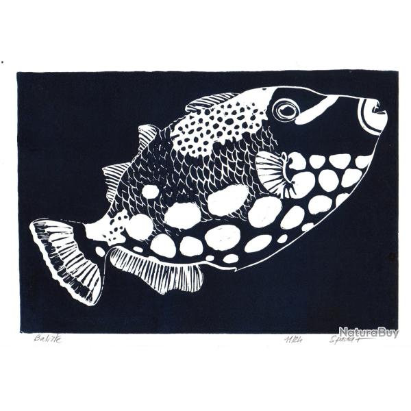 "Baliste", linogravure originale sign�e Spada