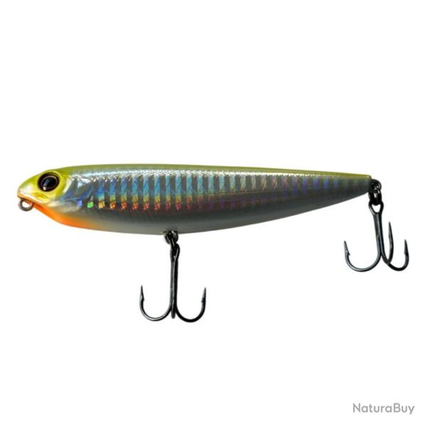 LEURRE TRZ WALKY BOY 10CM - CHART BACK - 