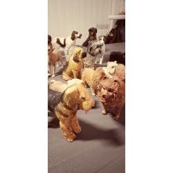 Lot chiens miniatures