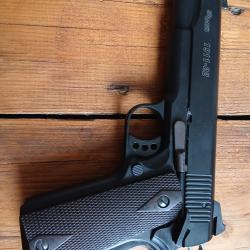 Sig sauer 1911-22