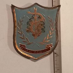 Insigne du service de sant&eacute; de la FINUL