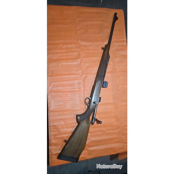 Carabine Gaucher cal 30-06, renato baldi