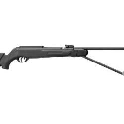 Carabine &agrave; plomb gamo cfx