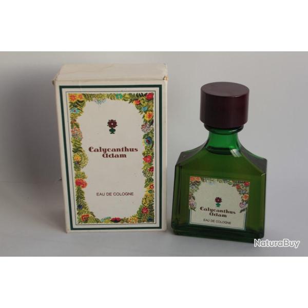 Ancien Flacon Eau de Cologne Calcunthus Adam 200 ml