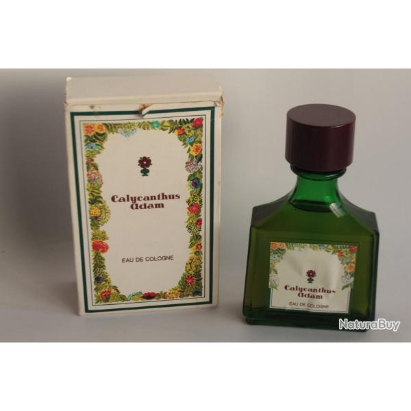 Ancien Flacon Eau de Cologne Calcunthus Adam 200 ml