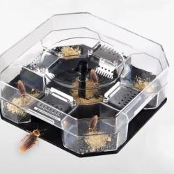 Pi&egrave;ge &agrave; Cafards R&eacute;utilisable Maison Cuisine Bo&icirc;te Anti Insectes Transparent