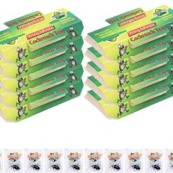 Lot 10 Pi&egrave;ges &agrave; Cafards Colle Ultra Forte Anti Blattes Cuisine Maison