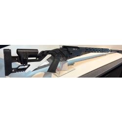 CARABINE RUGER PRECISION RIMFIRE 22LR + SILENCIEUX OSUMA