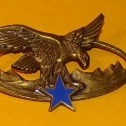 Brevet Sp&eacute;cialit&eacute; Troupes de Montagne, bronze, &eacute;mail, &eacute;toile pleine , Brevet de Qualification des Tr