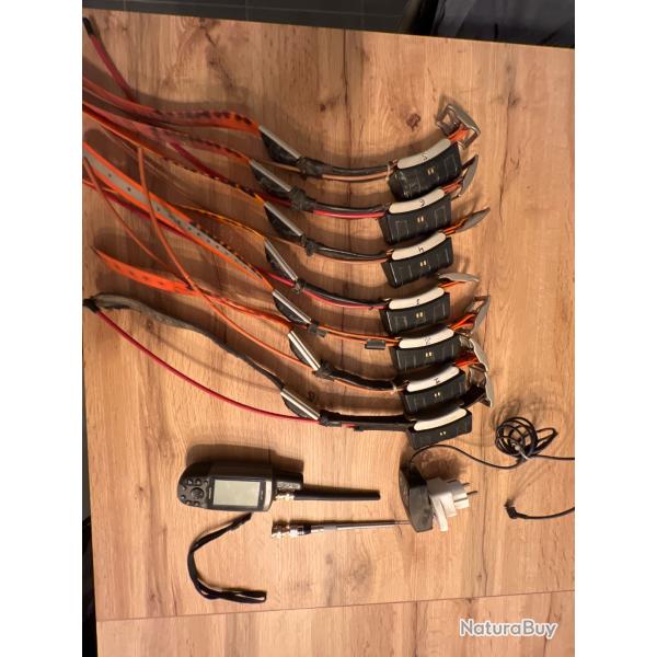 Garmin Astro 220 + colliers DC30