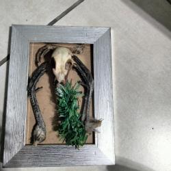 Cr&acirc;ne sur cadre