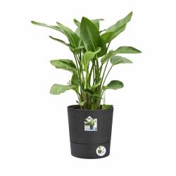 Pot de jardin &Oslash;43xH43cm gris anthracite Elho&reg; en plastique recycl&eacute;