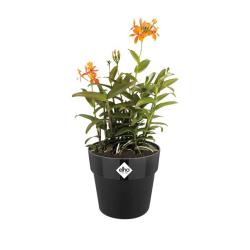 Pot plastique diam&egrave;tre 22 cm hauteur 20cm noir Elho