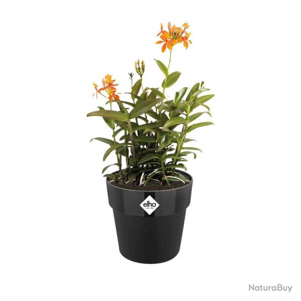 Pot plastique diam�tre 22 cm hauteur 20cm noir Elho