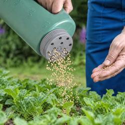 &Eacute;pandeur &agrave; main Progarden&reg; 2L - Distributeur d'engrais et graines vert