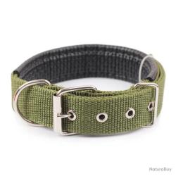 COLLIER POUR CHIEN - VERT - LIVRAISON GRATUITE