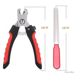 COUPE GRIFFE ET AVEC LIME - 16CM