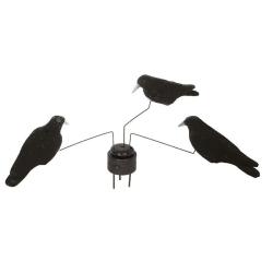 Man&egrave;ge &agrave; corbeaux