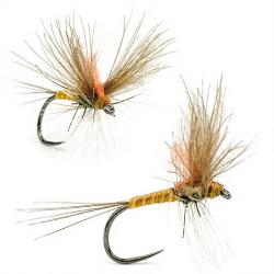 Mouche A.P. &Eacute;ph&eacute;m&egrave;re Ignita H16