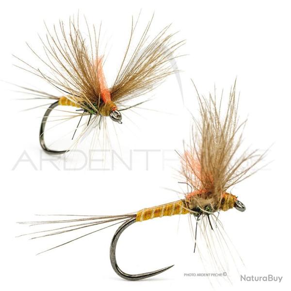 Mouche A.P. �ph�m�re Ignita H16