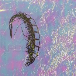 Fine FlashBack SYBAI Pearl