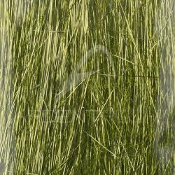 Saltwater Angel Hair SYBAI Limetreuse