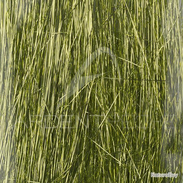 Saltwater Angel Hair SYBAI Limetreuse