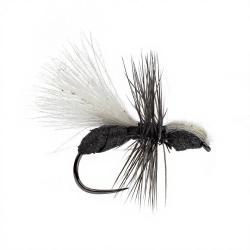 Mouche A.P. Fourmi CDC H14