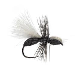 Mouche A.P. Fourmi CDC H16