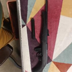 Carabine 22lr rossi 8122