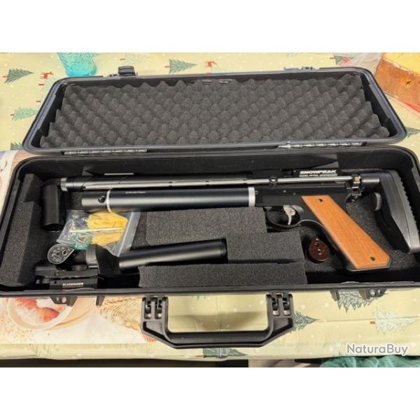 pistolet � air avec silencieux et 2 chargeur 14 joules