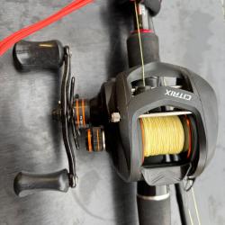 Ensemble casting citrix mitchel