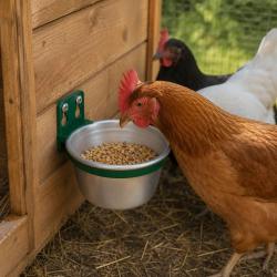 Bol aluminium mangeoire - abreuvoir multi animaux &oslash;10cm