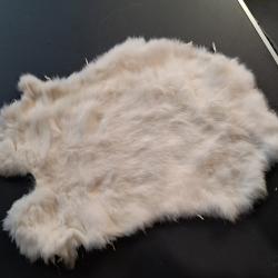 Peau de lapin #1808