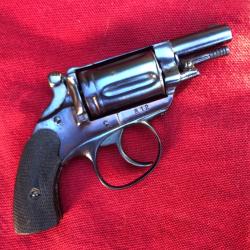 &Eacute;TAT NEUF 6mm VELODOG TYPE PUPPY