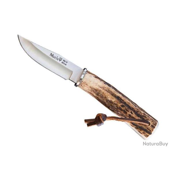 POIGNARD MUELA BOWIE 7.5CM CERF INOX