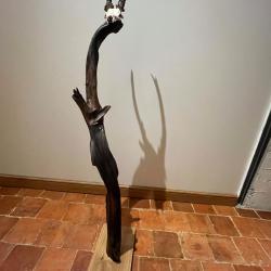 Support &agrave; troph&eacute;e contemporain en noyer huil&eacute;