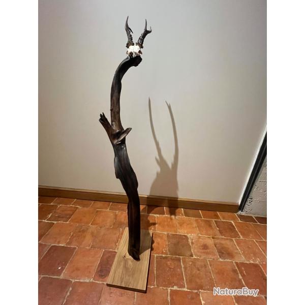 Support � troph�e contemporain en noyer huil�