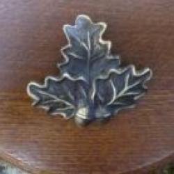 Feuilles de ch&ecirc;ne... pour troph&eacute;e.